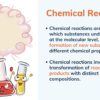 Lab Safety + Intro to Chemical Reactions - Image 4